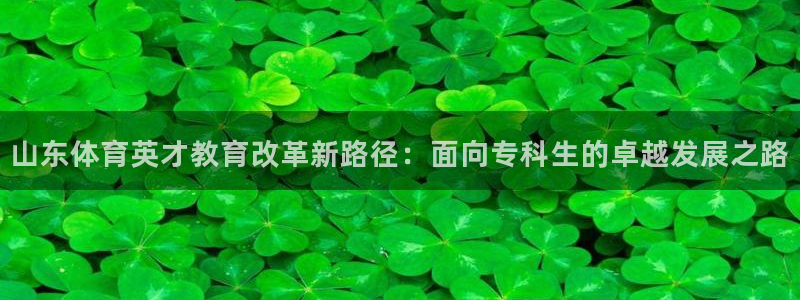 山东体育英才教育改革新路径：面向专科生的卓越发展之路